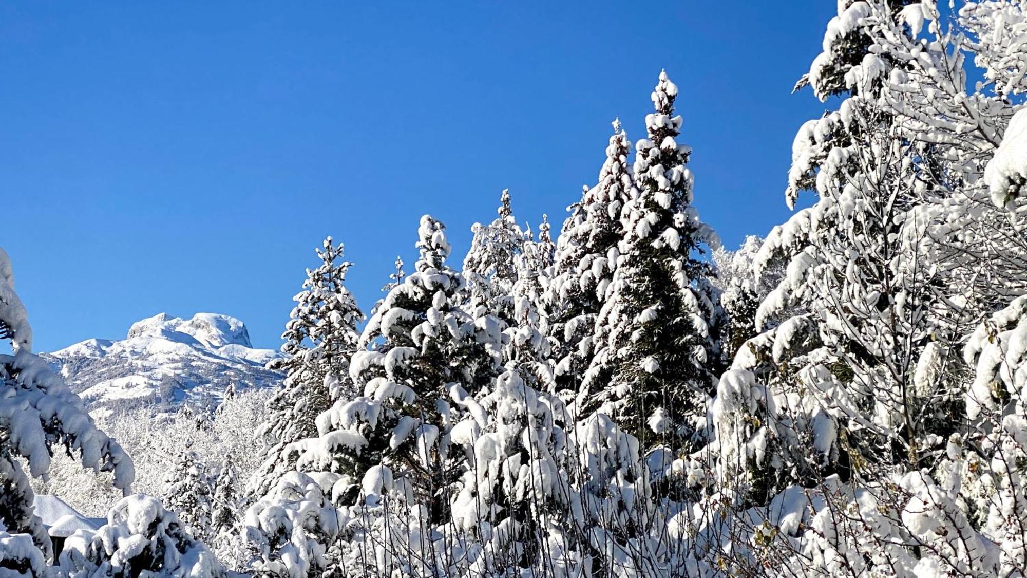L'Intermède&En toute amitié - Les Gites de l'Argile Faucon-de-Barcelonnette Exterior foto